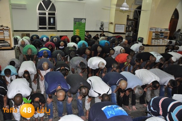 tarawee7 jablaiya (7).JPG